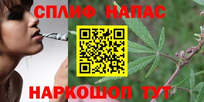 a pvp Донской