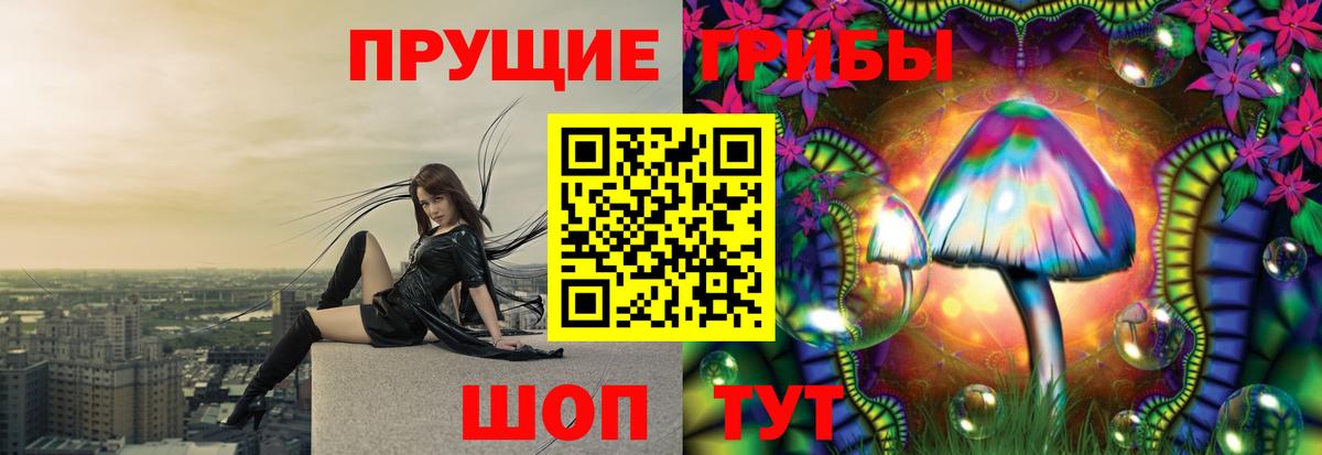 Псилоцибиновые грибы GOLDEN TEACHER Волоколамск